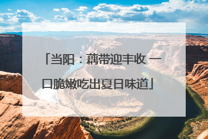 当阳：藕带迎丰收 一口脆嫩吃出夏日味道