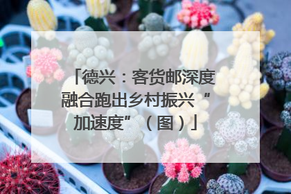 德兴：客货邮深度融合跑出乡村振兴“加速度”（图）