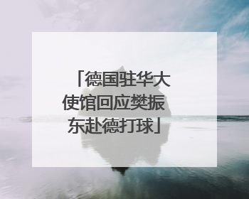 德国驻华大使馆回应樊振东赴德打球