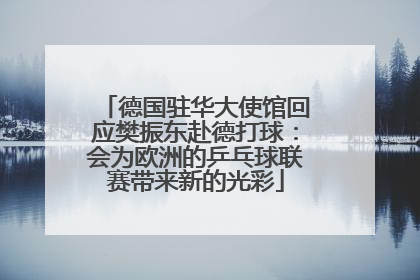 德国驻华大使馆回应樊振东赴德打球：会为欧洲的乒乓球联赛带来新的光彩