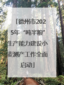 德州市2025年“吨半粮”生产能力建设小麦测产工作全面启动