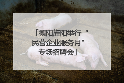 德阳旌阳举行“民营企业服务月”专场招聘会