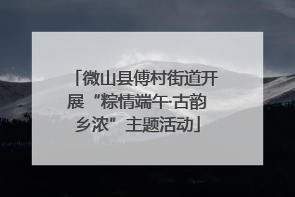 微山县傅村街道开展“粽情端午·古韵乡浓”主题活动