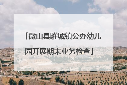 微山县驩城镇公办幼儿园开展期末业务检查