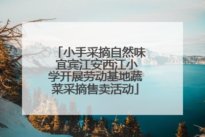 小手采摘自然味 宜宾江安西江小学开展劳动基地蔬菜采摘售卖活动
