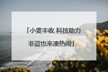 小麦丰收 科技助力 非遗也来凑热闹