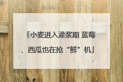 小麦进入灌浆期 蓝莓、西瓜也在抢“鲜”机