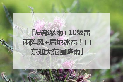 局部暴雨+10级雷雨阵风+局地冰雹！山东迎大范围降雨