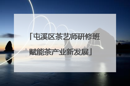 屯溪区茶艺师研修班赋能茶产业新发展