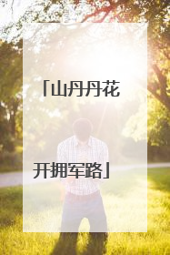 山丹丹花开拥军路