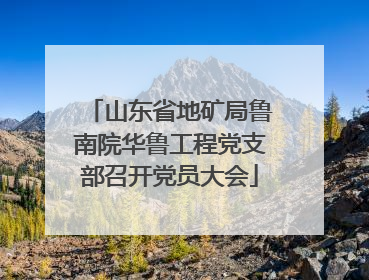 山东省地矿局鲁南院华鲁工程党支部召开党员大会