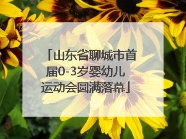山东省聊城市首届0-3岁婴幼儿运动会圆满落幕