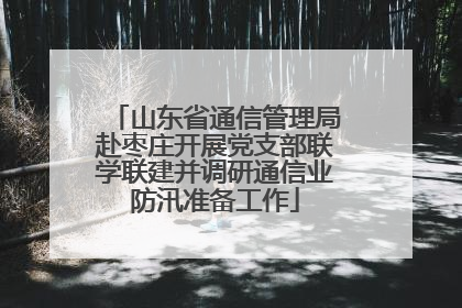 山东省通信管理局赴枣庄开展党支部联学联建并调研通信业防汛准备工作