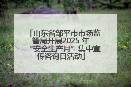 山东省邹平市市场监管局开展2025 年“安全生产月”集中宣传咨询日活动