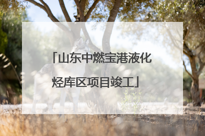 山东中燃宝港液化烃库区项目竣工