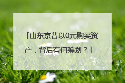 山东京普以0元购买资产，背后有何筹划？