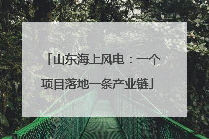 山东海上风电：一个项目落地一条产业链