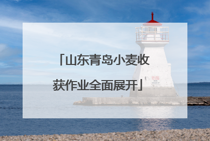 山东青岛小麦收获作业全面展开