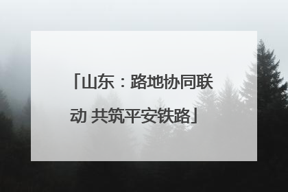 山东：路地协同联动 共筑平安铁路