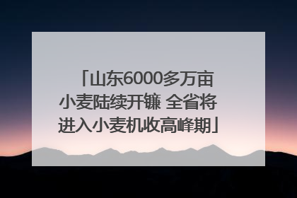 山东6000多万亩小麦陆续开镰 全省将进入小麦机收高峰期