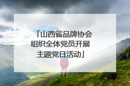山西省品牌协会组织全体党员开展主题党日活动