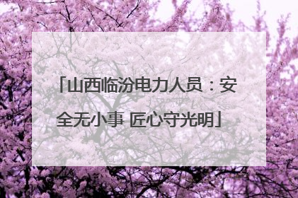 山西临汾电力人员：安全无小事 匠心守光明