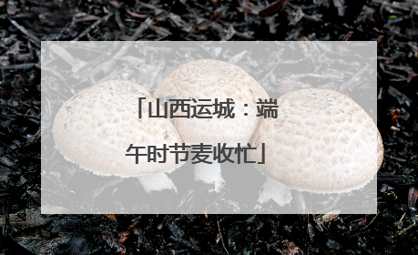 山西运城：端午时节麦收忙