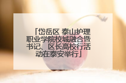 岱岳区 泰山护理职业学院校城融合暨书记、区长高校行活动在泰安举行