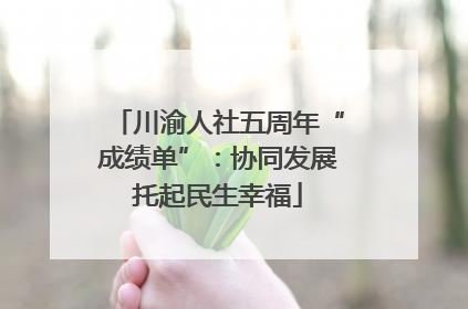 川渝人社五周年“成绩单”：协同发展托起民生幸福