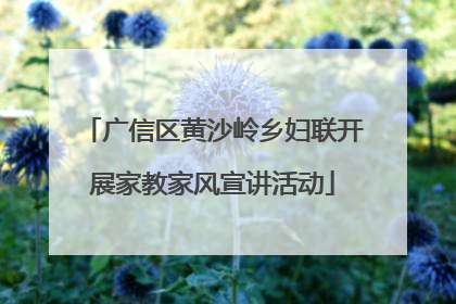 广信区黄沙岭乡妇联开展家教家风宣讲活动