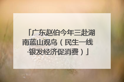 广东赵伯今年三赴湖南蓝山观鸟（民生一线·银发经济促消费）