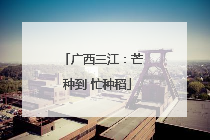 广西三江：芒种到 忙种稻