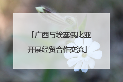 广西与埃塞俄比亚开展经贸合作交流