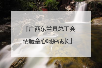 广西东兰县总工会情暖童心呵护成长