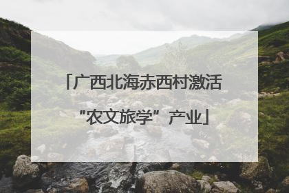 广西北海赤西村激活“农文旅学”产业