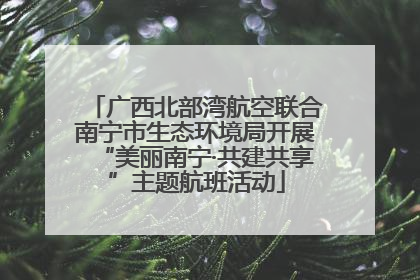 广西北部湾航空联合南宁市生态环境局开展“美丽南宁·共建共享”主题航班活动