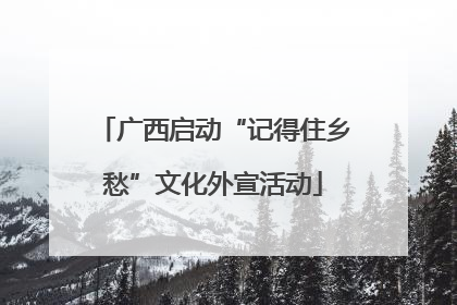 广西启动“记得住乡愁”文化外宣活动