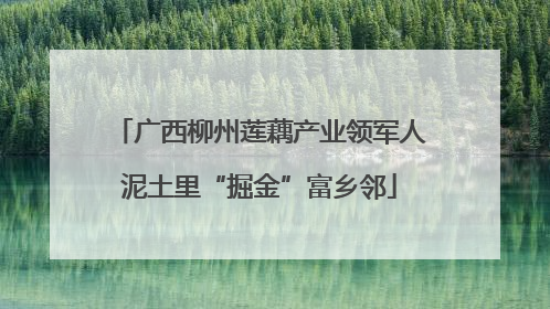 广西柳州莲藕产业领军人泥土里“掘金”富乡邻