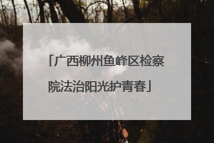 广西柳州鱼峰区检察院法治阳光护青春