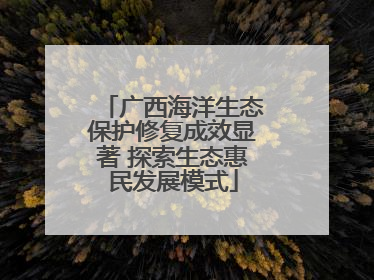 广西海洋生态保护修复成效显著 探索生态惠民发展模式