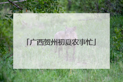 广西贺州初夏农事忙