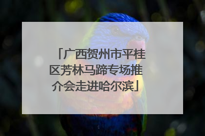 广西贺州市平桂区芳林马蹄专场推介会走进哈尔滨