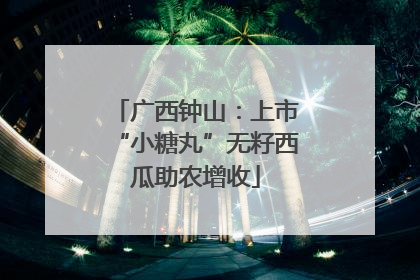 广西钟山：上市“小糖丸”无籽西瓜助农增收