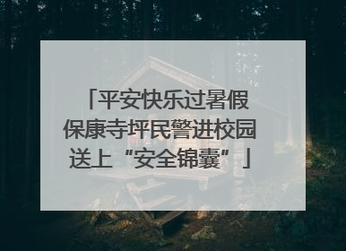 平安快乐过暑假 保康寺坪民警进校园送上“安全锦囊”