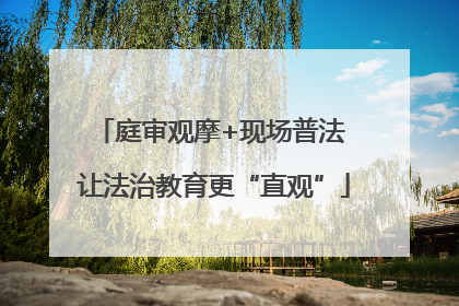 庭审观摩+现场普法 让法治教育更“直观”