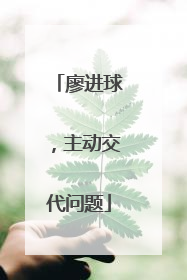 廖进球，主动交代问题