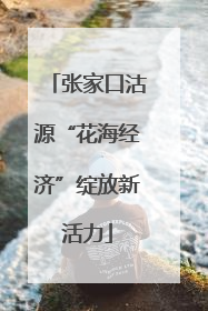 张家口沽源“花海经济”绽放新活力