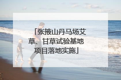 张掖山丹马场艾草、甘草试验基地项目落地实施