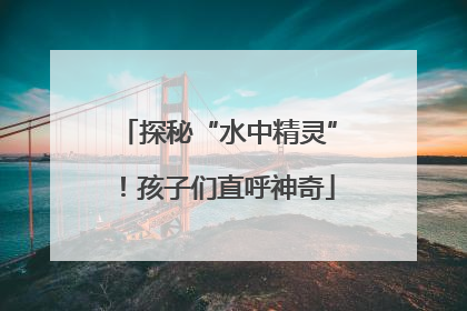 探秘“水中精灵”！孩子们直呼神奇