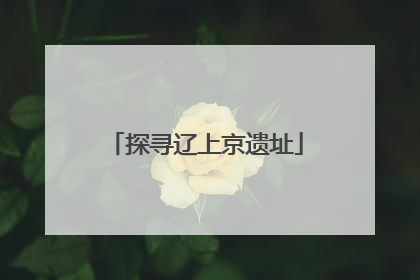探寻辽上京遗址